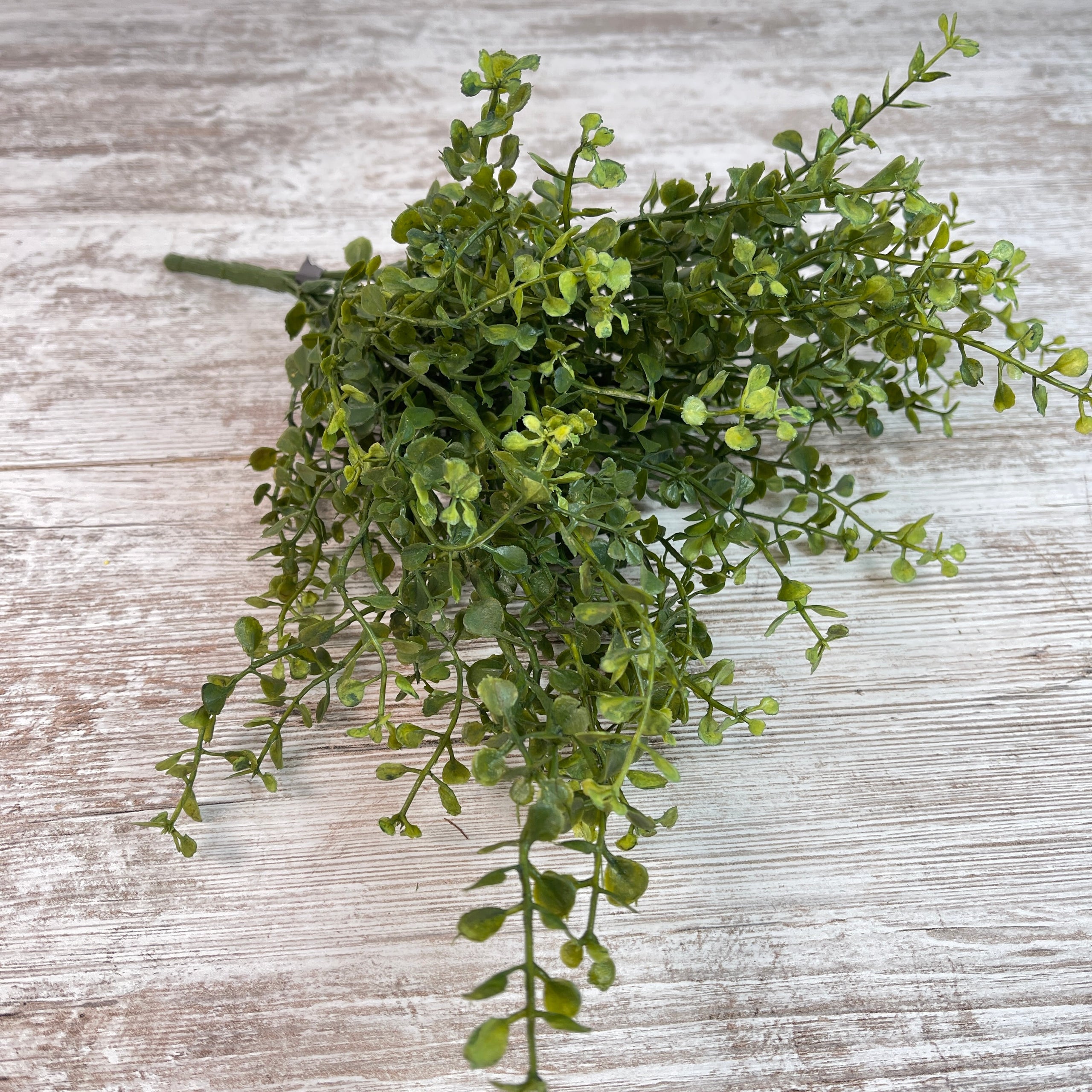 The texture and dimension of this wild growing baby grass pick is a
