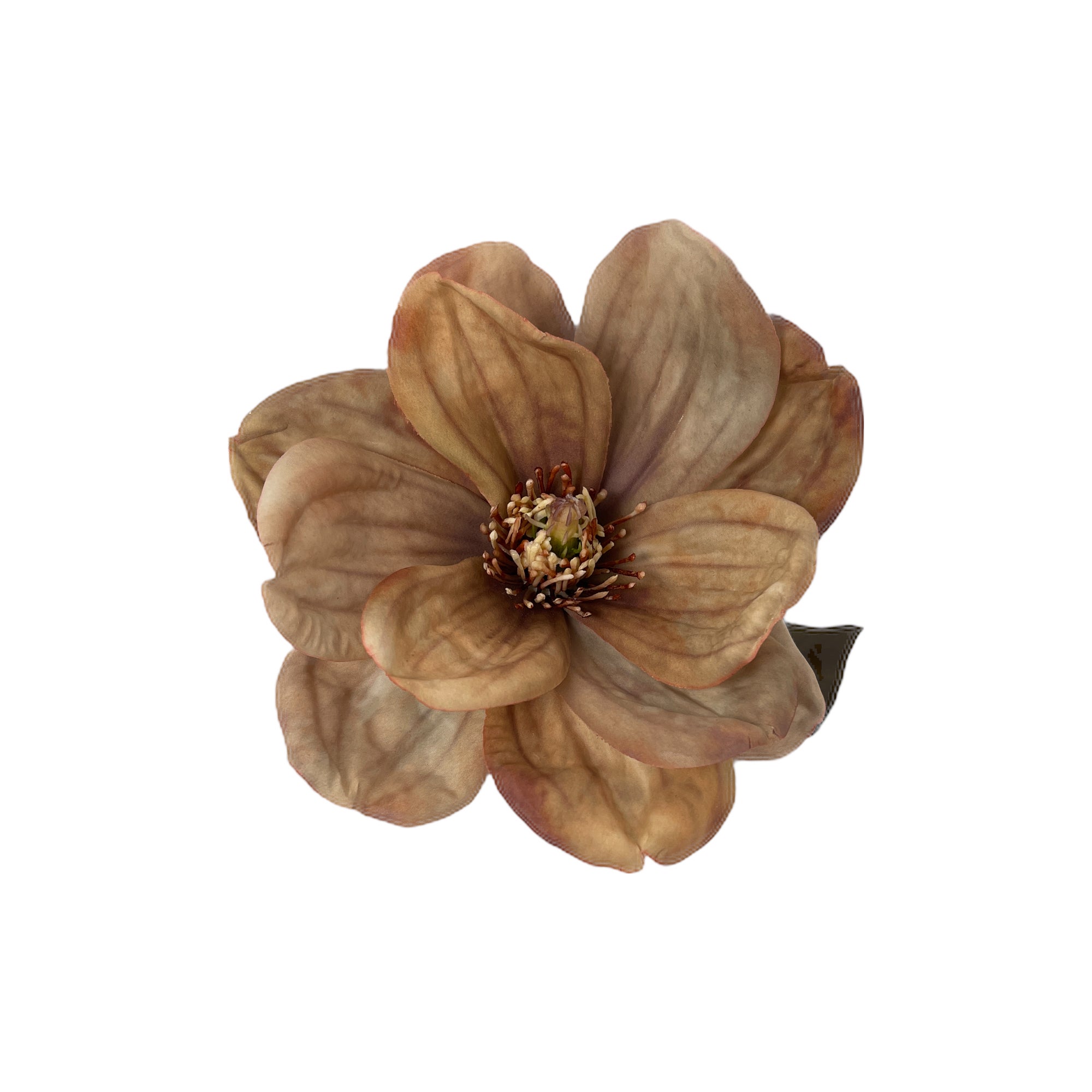 Magnolia Stem Heart 'n Home features dried, silk and fresh florals